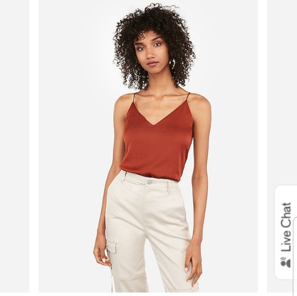 BRAND NEW - Express Silky Camisole
